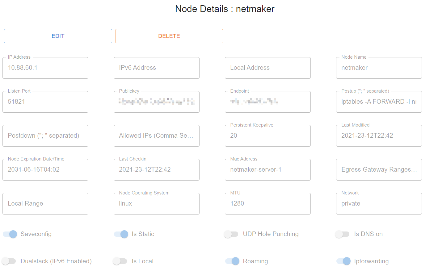 Netmaker Node 详细信息